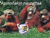 [5/118] apinoitakin-naurattaa.jpg 400x303 32K 2014-01-13 12:48:45