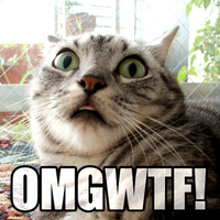 [68/118] omg_wtf.jpg 360x360 56K 2007-01-24 15:01:54