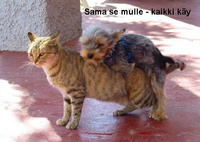 [90/118] rynkytys.jpg 563x399 40K 2005-07-26 12:58:35