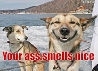 [118/118] your_ass_smell_nice.jpg 640x466 111K 2009-03-17 13:42:24