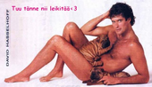 [36/118] hasselhoff10.jpg 600x345 40061B 2006-02-28 23:25:23