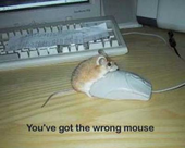 [113/118] wrong_mouse.jpg 400x319 16360B 2014-01-13 12:48:46