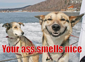 [118/118] your_ass_smell_nice.jpg 640x466 112769B 2009-03-17 13:42:24